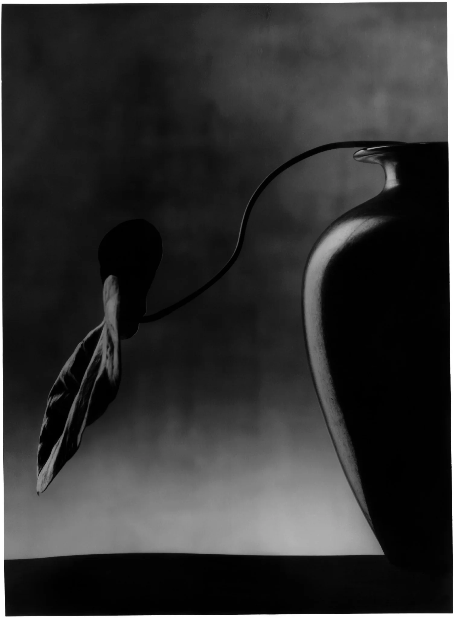 Christian Coigny — THE PHOTOGALLERY